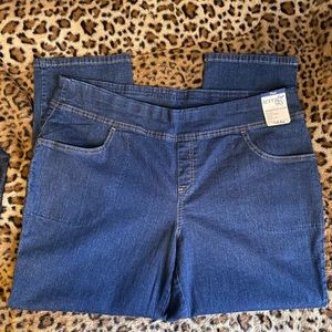 Terra & Sky Plus Size Medium Wash Pull On Jeans